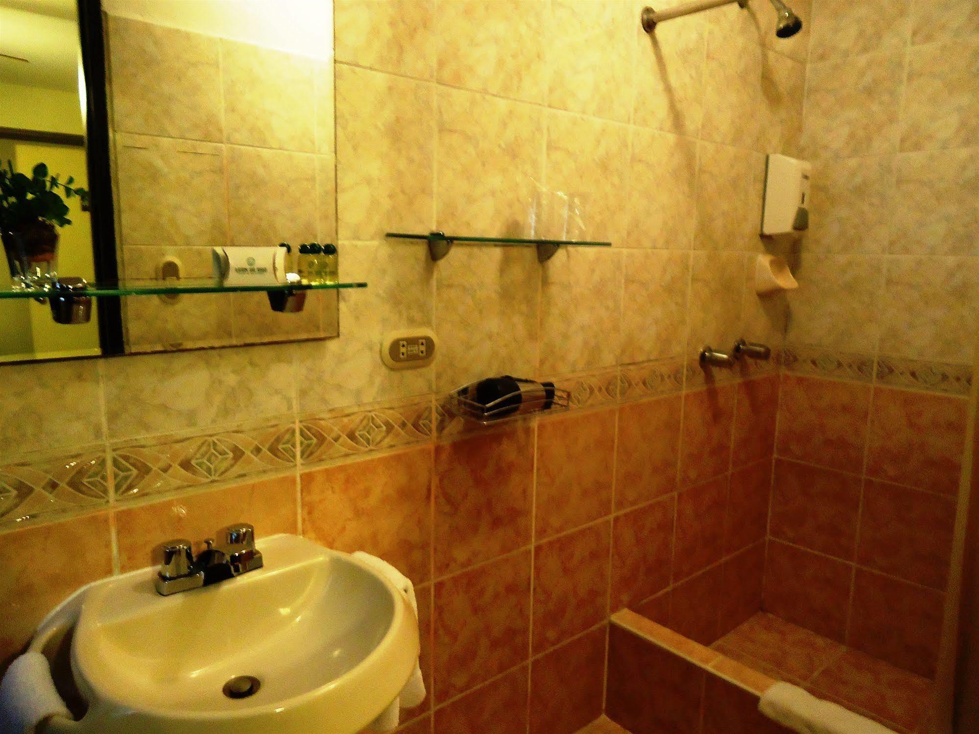 Hotel Leon De Oro Inn&suites 3*