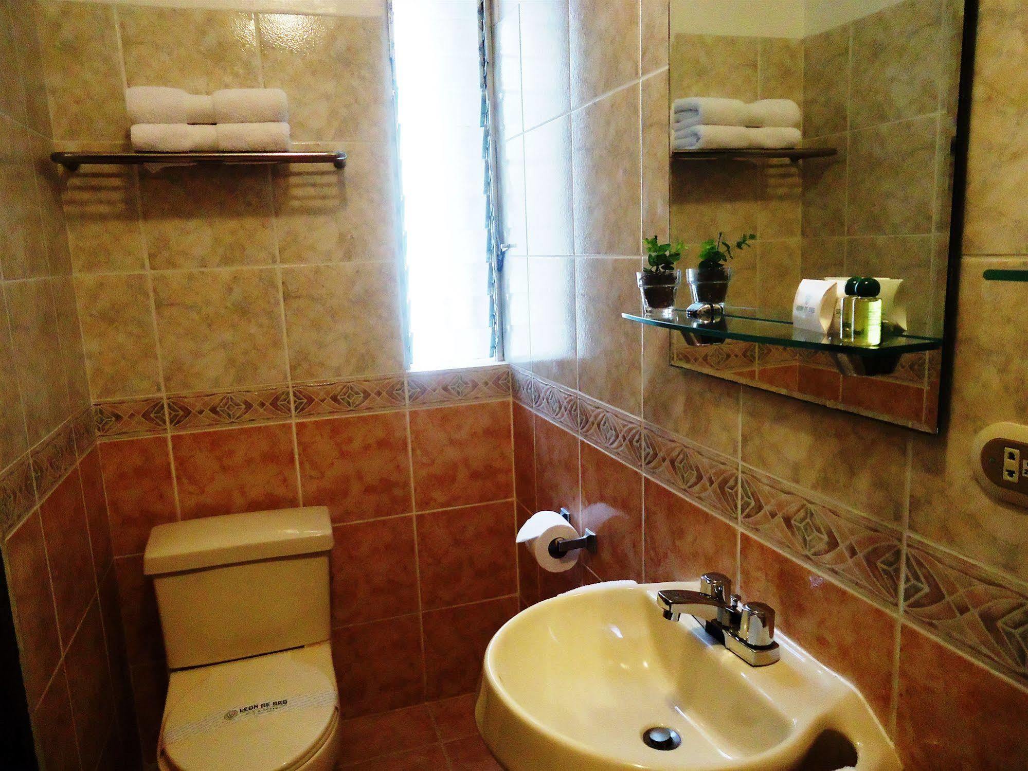 Leon De Oro & Hotel 3*
